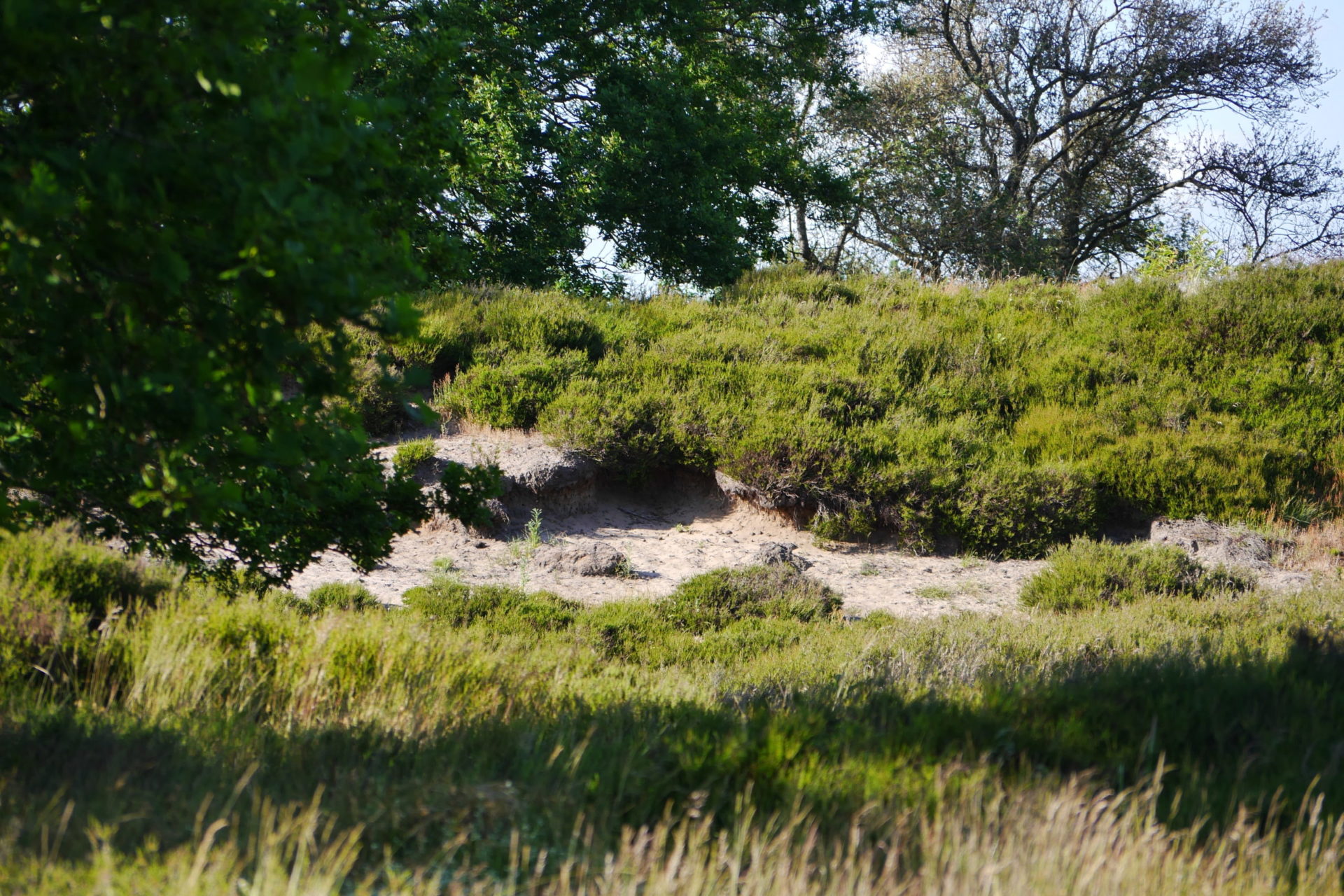 You are currently viewing Les dunes sans mer de la Sorge